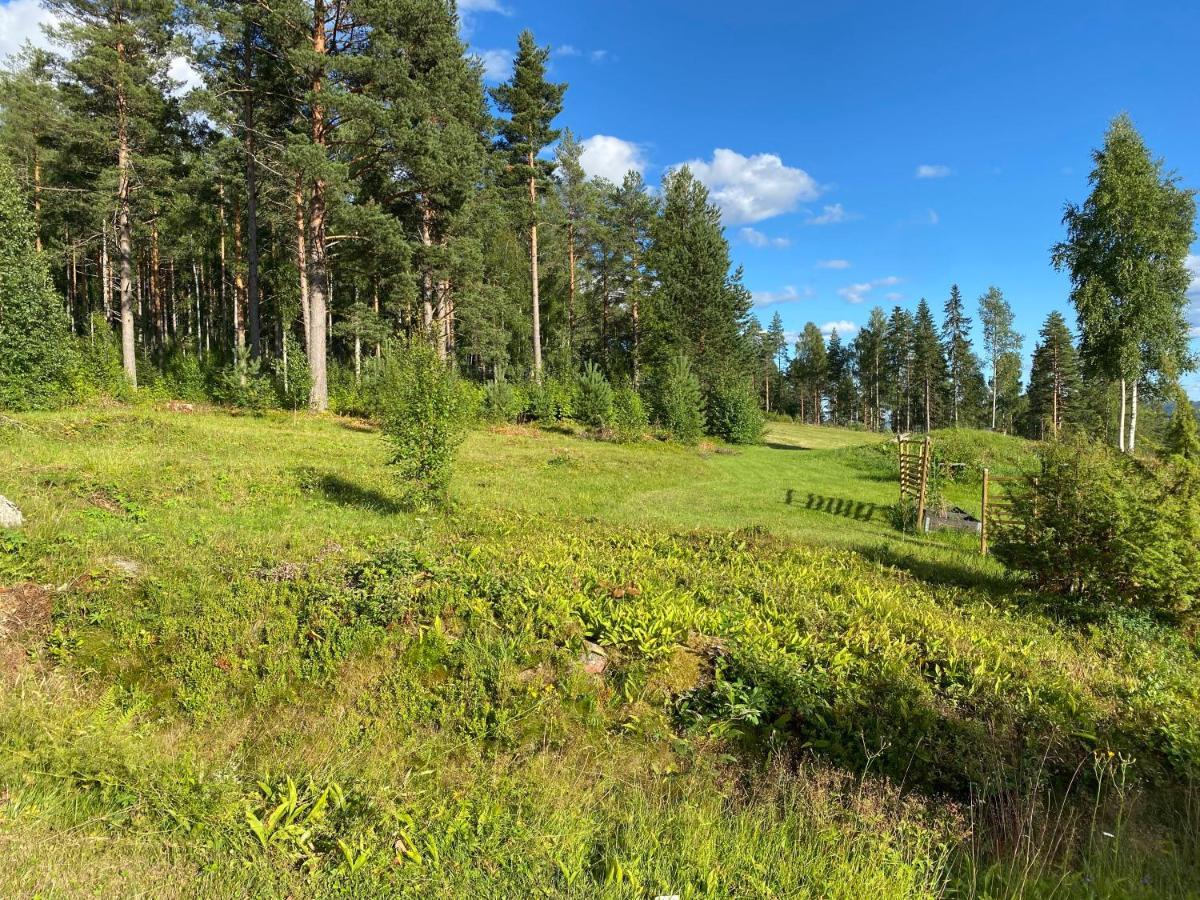 Beautiful 4-5 Persons Cottage In Alvdalen Blyberg Exteriér fotografie